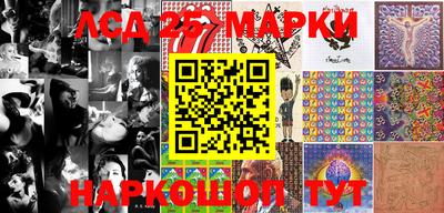 эйфоретик Кимры