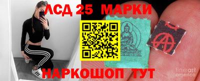 ПСИЛОЦИБИНОВЫЕ ГРИБЫ Кингисепп