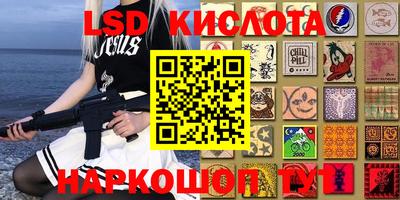 эйфоретик Кимры