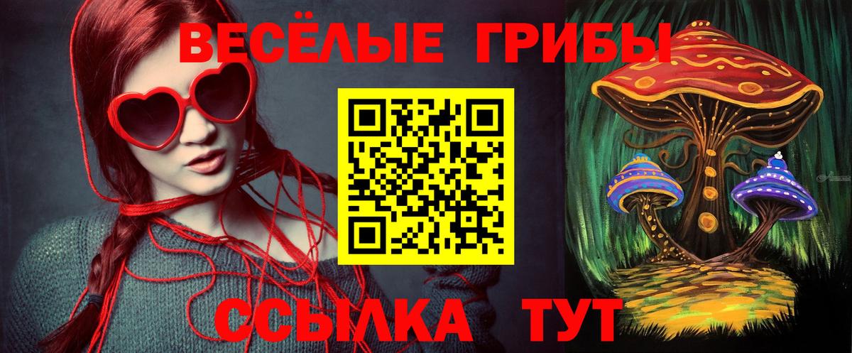 Псилоцибиновые грибы ЛСД Чернушка