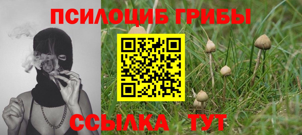 Псилоцибиновые грибы прущие грибы  Псилоцибиновые грибы прущие грибы  Чернушка  Вход с VPN 