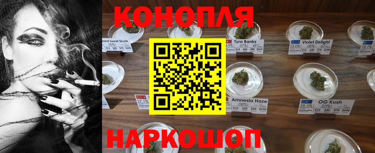 Канабис MAZAR Чернушка